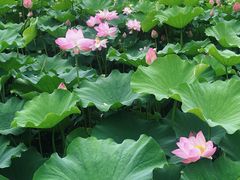 -中国计量大学(西校区)