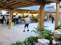 -顺德了能馆(虎门店)