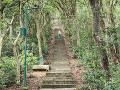 -梧桐山风景名胜区