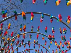 -西部长青自然儿童乐园