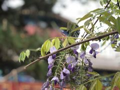 -大钟寺古钟博物馆