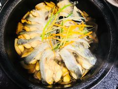 旱蒸剑齿鱼-桂客膳房·珍品堂