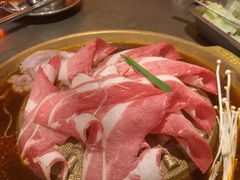 -小牛哈尼章鱼水煎肉(金鹰店)