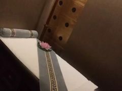 -华夏良子·足道SPA艾灸(王府井店)
