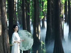 -东湖落雁景区
