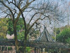 -上海醉白池公园