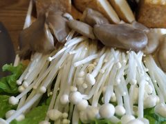 -尚海豆捞(乐虹坊店)