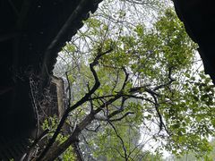 -黄公望隐居地