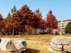 -双拥公园