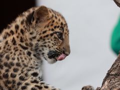 -鄂尔多斯野生动物园