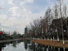-洋湖国家湿地公园