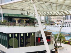 -润园四季椰子鸡火锅(海上世界店)