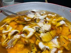 -雲蜀龙阁·金牌水煮鱼(方庄店)