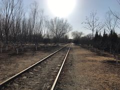 -永定河休闲森林公园