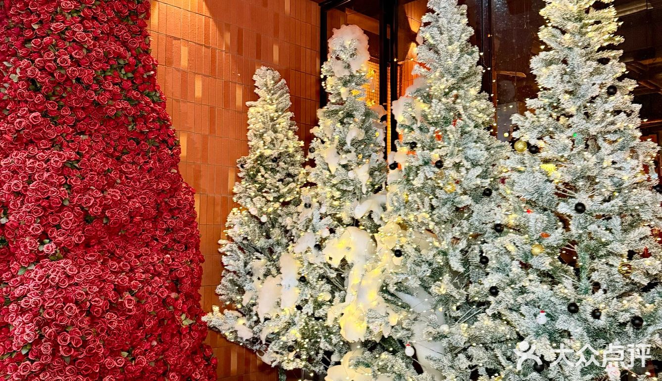 南宁！！地铁直达！！🎄圣诞浓度1000%。。