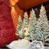 南宁！！地铁直达！！🎄圣诞浓度1000%。。