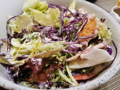 凯撒沙拉-酱子居酒屋(南洋维也纳花园店)