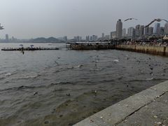 -星海广场