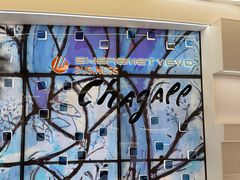 -谢列梅捷沃国际机场