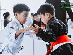 -勇气斑马·巴西柔术&跆拳道(浦东三林店)