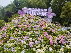 -上海滨江森林公园