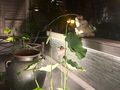 -花锦堂·隐庐