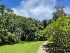 -中国科学院西双版纳热带植物园