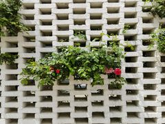 -东梓关景区村庄