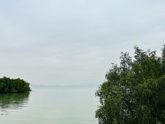-深圳湾公园(南山区)