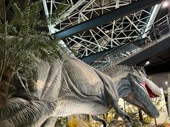 -湖南省地质博物馆