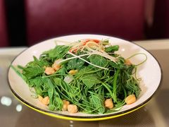 -巴依老爷新疆美食(清华东门店)