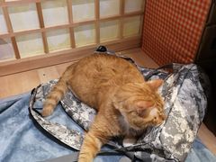 -小时光咖啡馆(开森度假森林店)