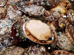 鲍鱼-盒马鲜生(皇庭广场店)
