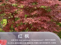 -江苏三台山国家森林公园