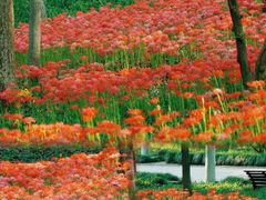 -杭州植物园