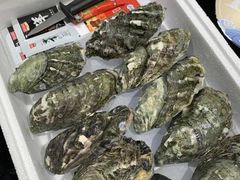 -城北食府(枫林店)