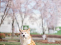 -龙美术馆(西岸馆)