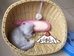 -惠康宠物医院(华能路店)