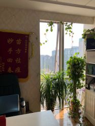 -苗方清颜专业祛痘连锁机构