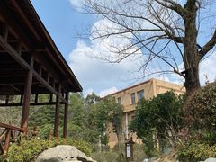 -咸宁万豪温泉谷度假区