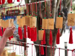 -三亚南山文化旅游区