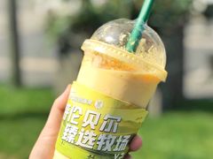 -茉酸奶(春熙路店)