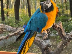 -北京野生动物园