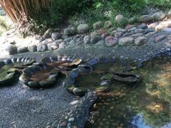 -成都市活水公园