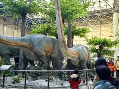 -国家自然博物馆