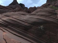 -波浪谷