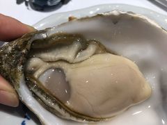 -桥岚·巷子鲜河豚鱼(专门店)