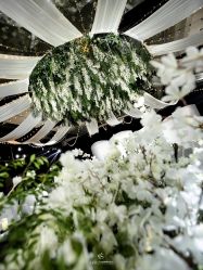 -红丝高端婚礼中心(旗舰店)