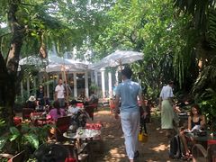 -Fern Forest Cafe