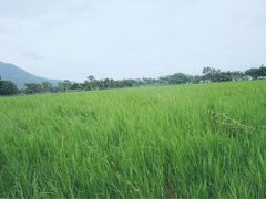 -瑞穗牧场